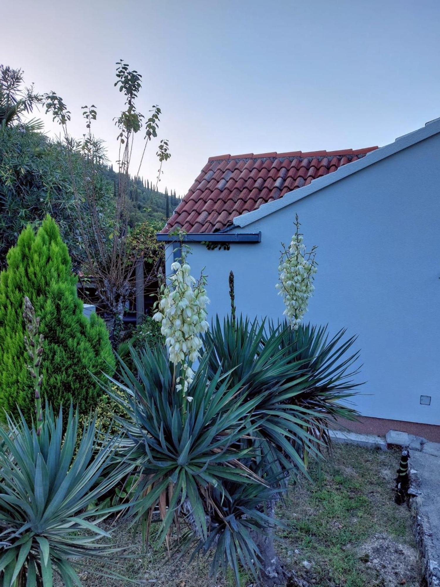 Holiday Home Sunrise Gruda Dış mekan fotoğraf